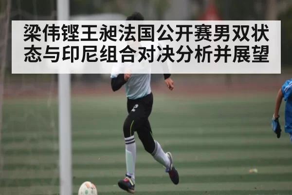 梁伟铿王昶法国公开赛男双状态与印尼组合对决分析并展望